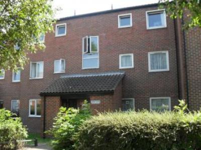 Annonce Location Appartement Enfield