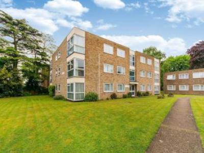 Annonce Location Appartement South-croydon