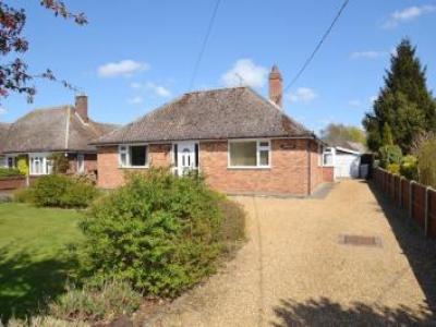 Annonce Location Maison Bury-st-edmunds