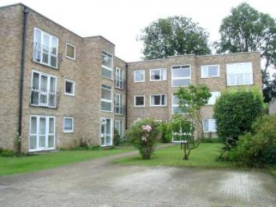 Annonce Location Appartement Maidenhead