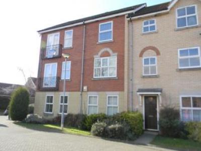 Annonce Location Appartement Hull