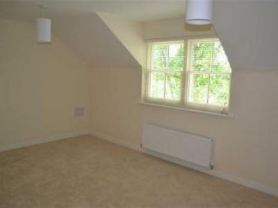 Louer Appartement Belper