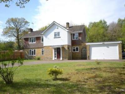 Annonce Location Maison Chelmsford