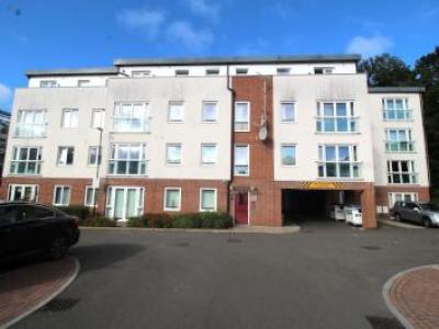 Annonce Location Appartement Watford