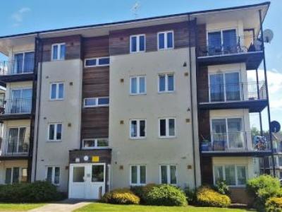 Annonce Location Appartement Hounslow