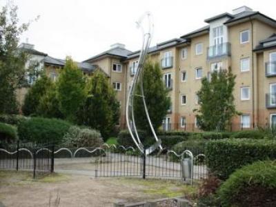 Annonce Location Appartement Cambridge