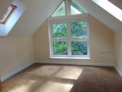 Annonce Location Appartement Southampton