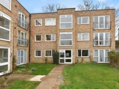 Annonce Location Appartement Maidenhead