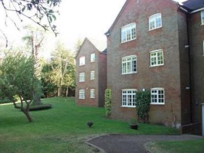 Annonce Location Appartement St-albans