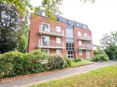 Annonce Location Appartement Cheltenham