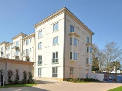 Annonce Location Appartement Cheltenham