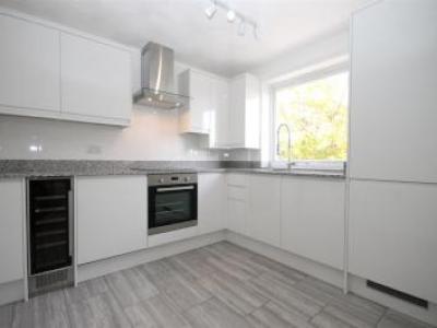 Annonce Location Appartement Norwich