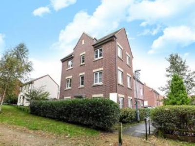 Annonce Location Maison Bracknell