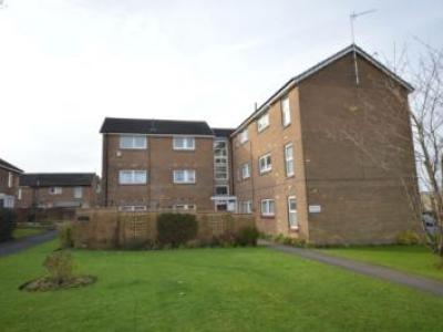 Annonce Location Appartement Sheffield