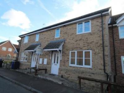 Annonce Location Maison Bury-st-edmunds