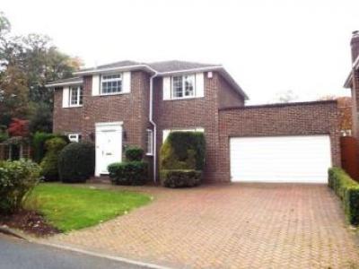 Annonce Location Maison Bracknell