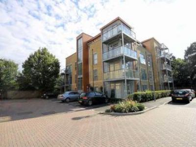 Annonce Location Appartement Teddington