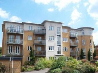 Annonce Location Appartement Southampton