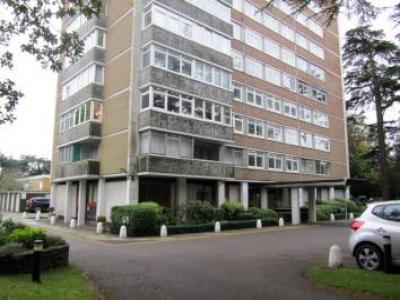 Annonce Location Appartement Southampton