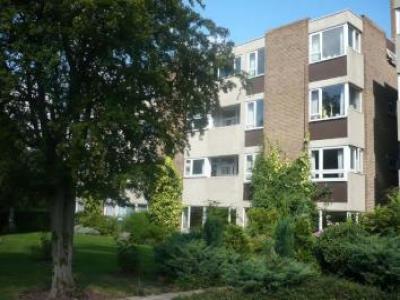 Annonce Location Appartement Bedford