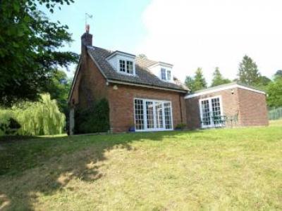 Annonce Location Maison Sevenoaks