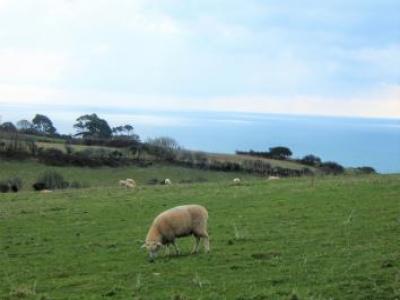 Louer Maison Looe rgion PLYMOUTH