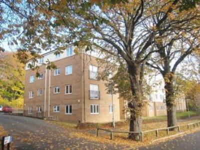 Annonce Location Appartement Leeds