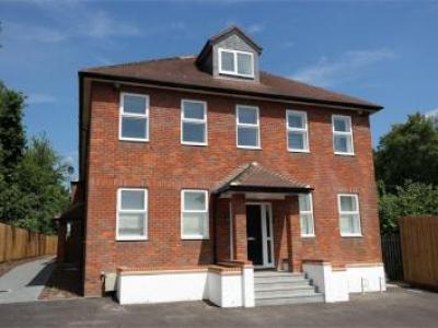 Annonce Location Appartement St-albans