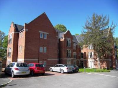 Annonce Location Appartement Belper