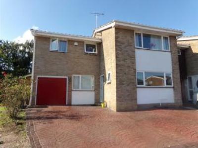 Annonce Location Maison Chelmsford