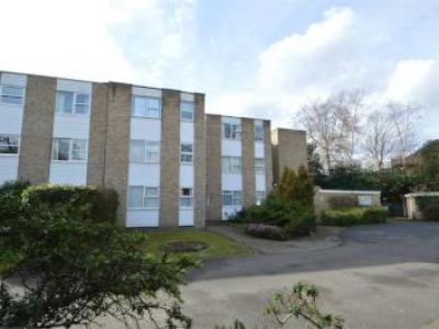 Annonce Location Appartement Weybridge