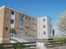 Annonce Location Appartement EASTBOURNE