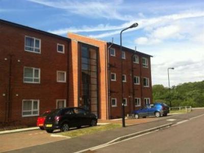 Annonce Location Appartement Sheffield