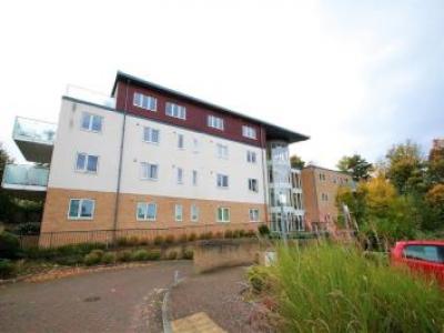 Annonce Location Appartement South-croydon