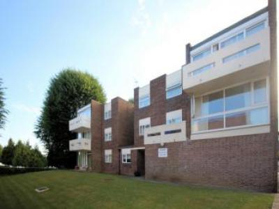 Annonce Location Appartement Woking