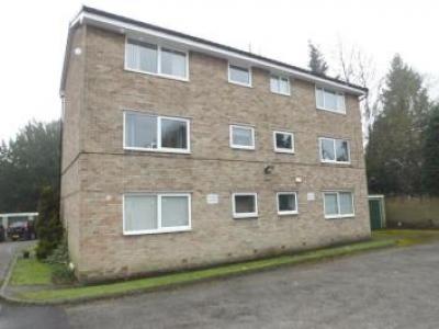 Annonce Location Appartement Sheffield