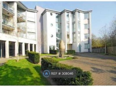 Annonce Location Appartement Nottingham