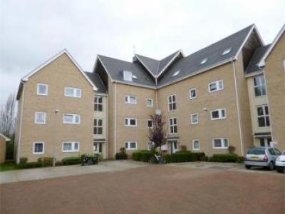 Annonce Location Appartement St-neots