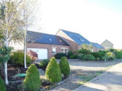 Annonce Location Maison Morpeth