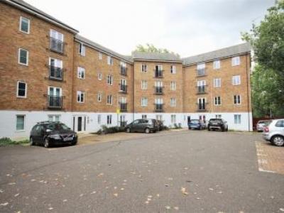 Annonce Location Appartement Colchester