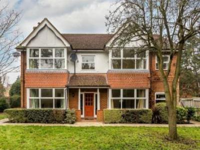 Annonce Location Maison Walton-on-thames