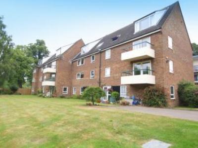 Annonce Location Appartement Norwich