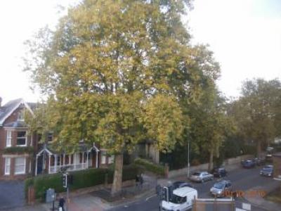 Louer Appartement Canterbury