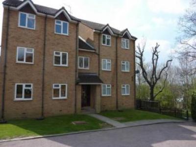 Annonce Location Appartement Borehamwood