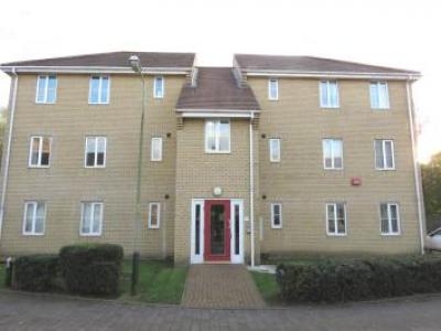 Annonce Location Appartement Norwich