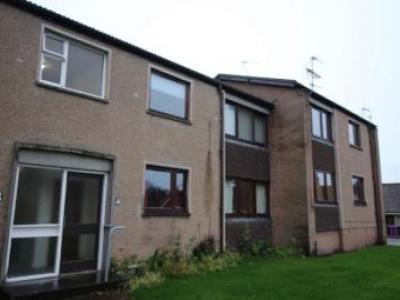 Annonce Location Appartement Brechin