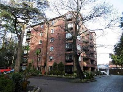 Annonce Location Appartement Poole