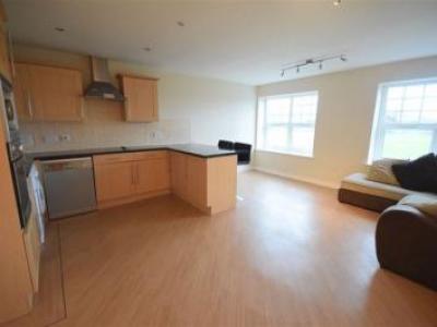 Annonce Location Appartement South-shields