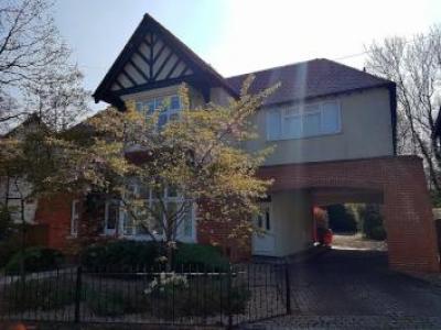 Annonce Location Appartement Tadworth