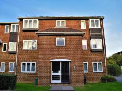 Annonce Location Appartement Hounslow